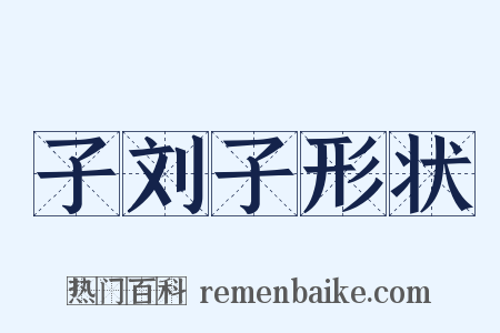 子刘子形状是什么意思的图片